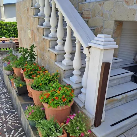 Evilion- Potidaia- Halkidiki- 100m From The Sea