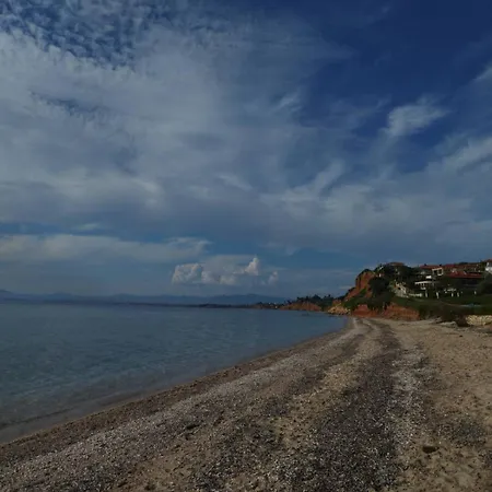 Evilion- Potidaia- Halkidiki- 100m From The Sea