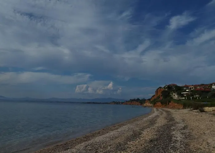 Evilion- Potidaia- Halkidiki- 100m From The Sea