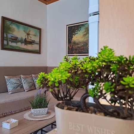 Evilion- Potidaia- Halkidiki- 100m From The Sea 펜션